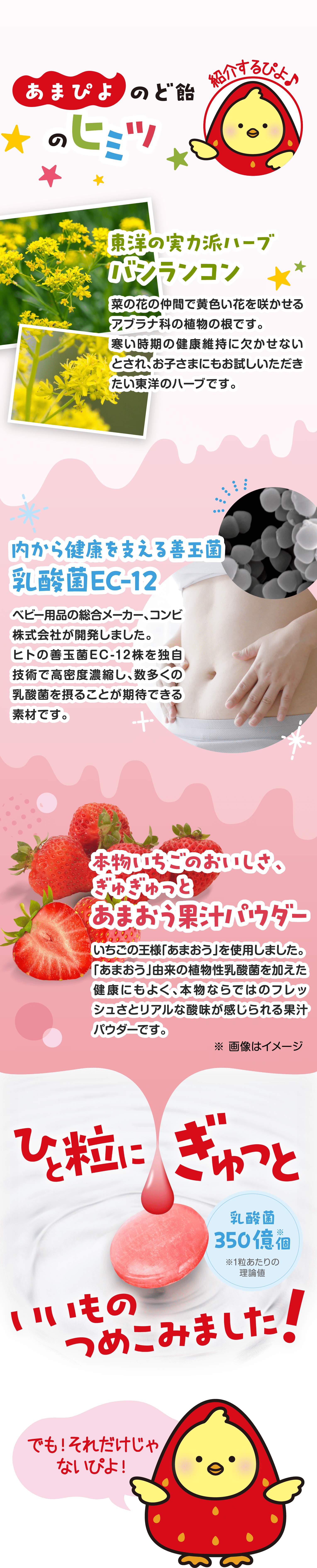 あまぴよのど飴のヒミツ 東洋の実力派ハーブバンランコン 菜の花の仲間で黄色い花を咲かせるアブラナ科の植物の根です。寒い時期の健康維持に欠かせないとされ、お子さまにもお試しいただきたい東洋のハーブです。内から健康を支える善玉菌 乳酸菌EC-12 ベビー用品の総合メーカー、コンビ株式会社が開発しました。ヒトの善玉菌EC-12株を独自技術で高密度濃縮し、数多くの乳酸菌を摂ることが期待できる素材です。本物いちごのおいしさ、ぎゅぎゅっと あまおう果汁パウダーいちごの王様「あまおう」を使用しました。「あまおう」由来の植物性乳酸菌を加えた健康にもよく、本物ならではのフレッシュさとリアルな酸味が感じられる果汁パウダーです。 ひと粒にぎゅっと いいものつめこみました！ でも！それだけじゃないぴよ！