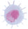 ウイルス