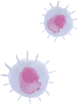 ウイルス