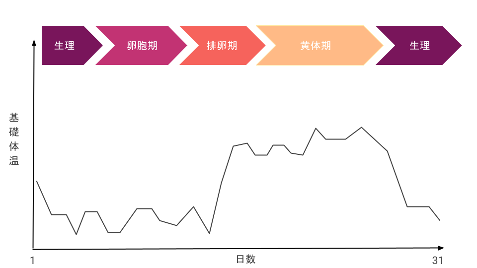 妊娠していないときの基礎体温グラフ