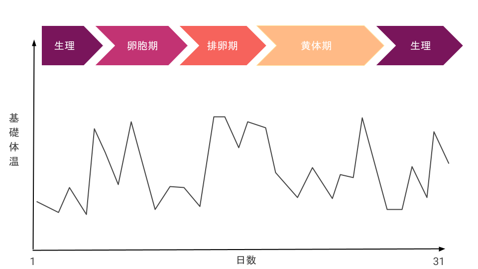 不規則な生活を送っている場合の基礎体温グラフ