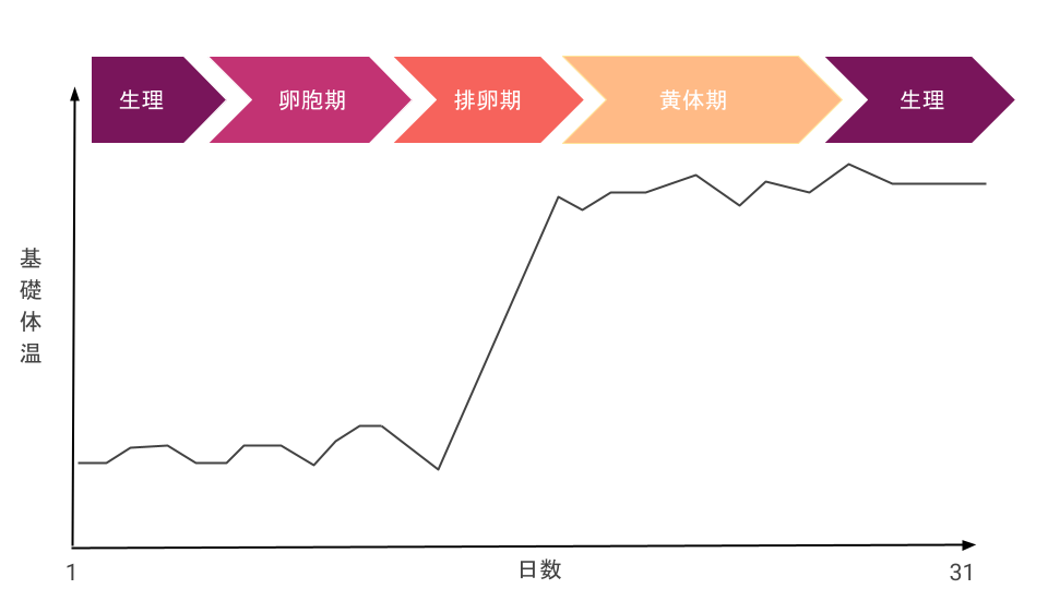 妊娠の可能性がある基礎体温グラフ